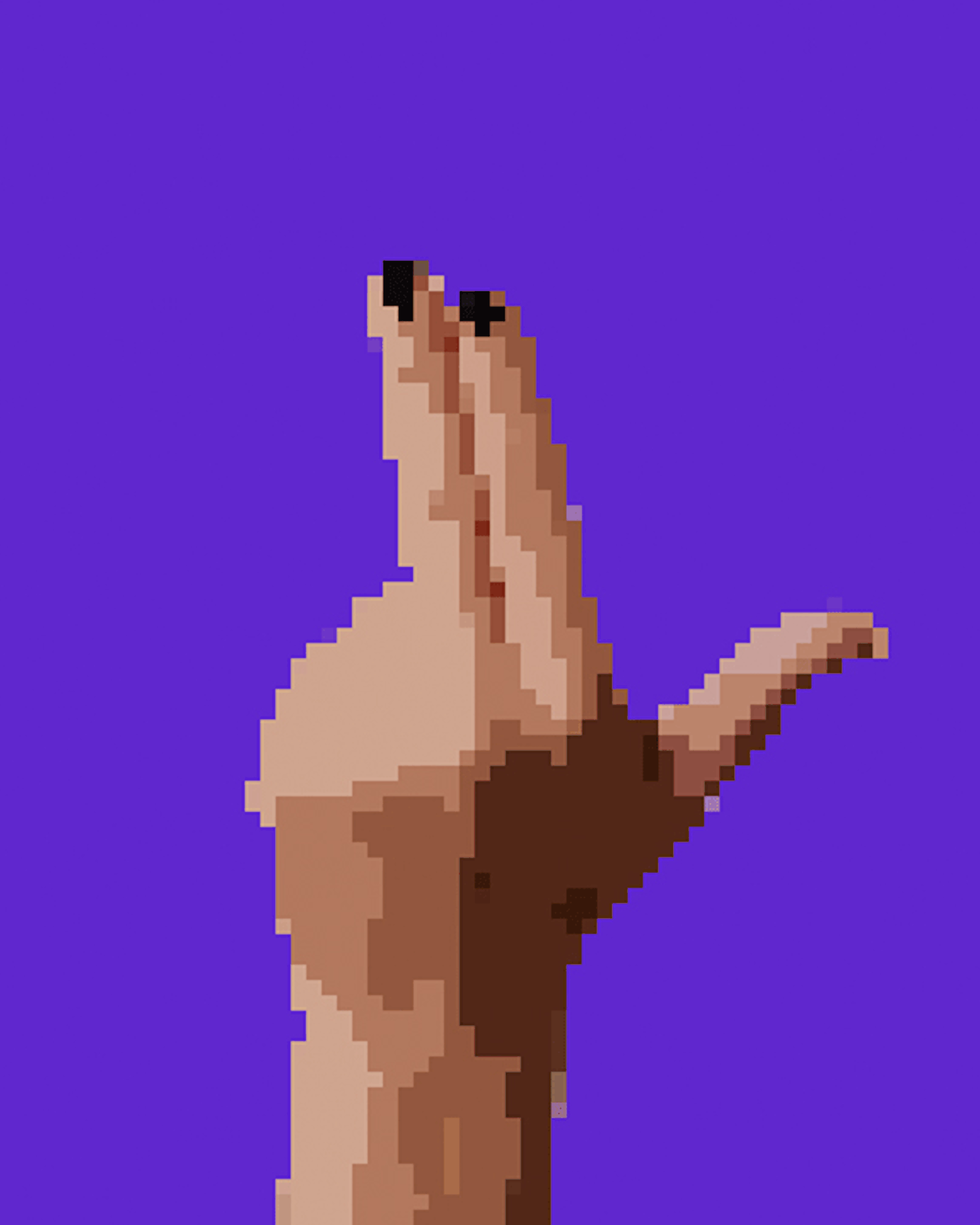 AmericanSignLanguage.eth #56