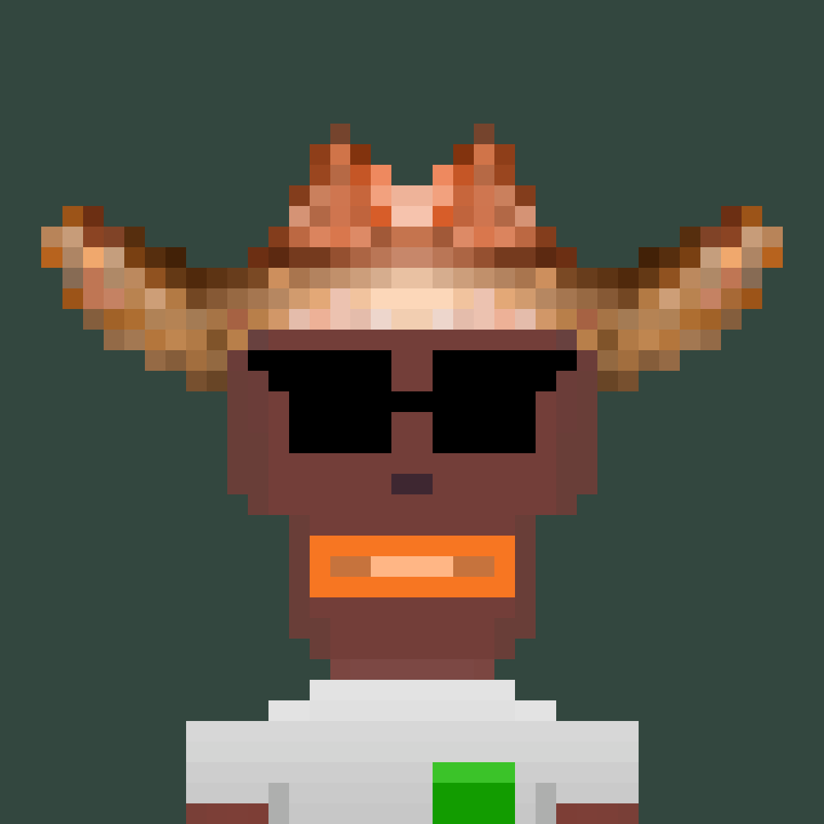 snerf