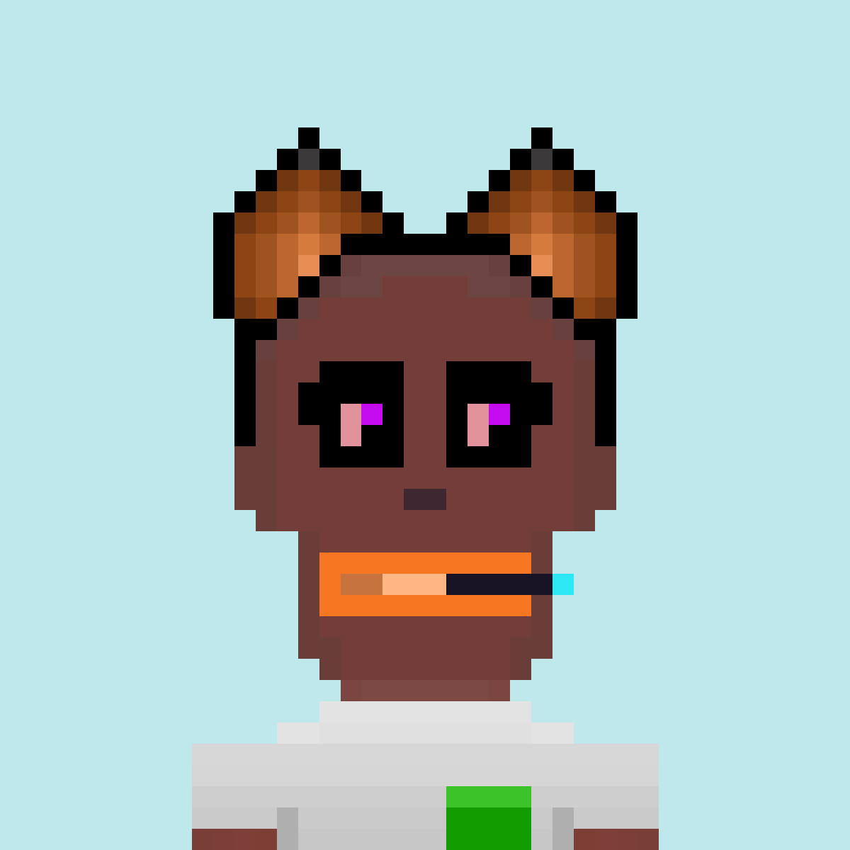 snerf