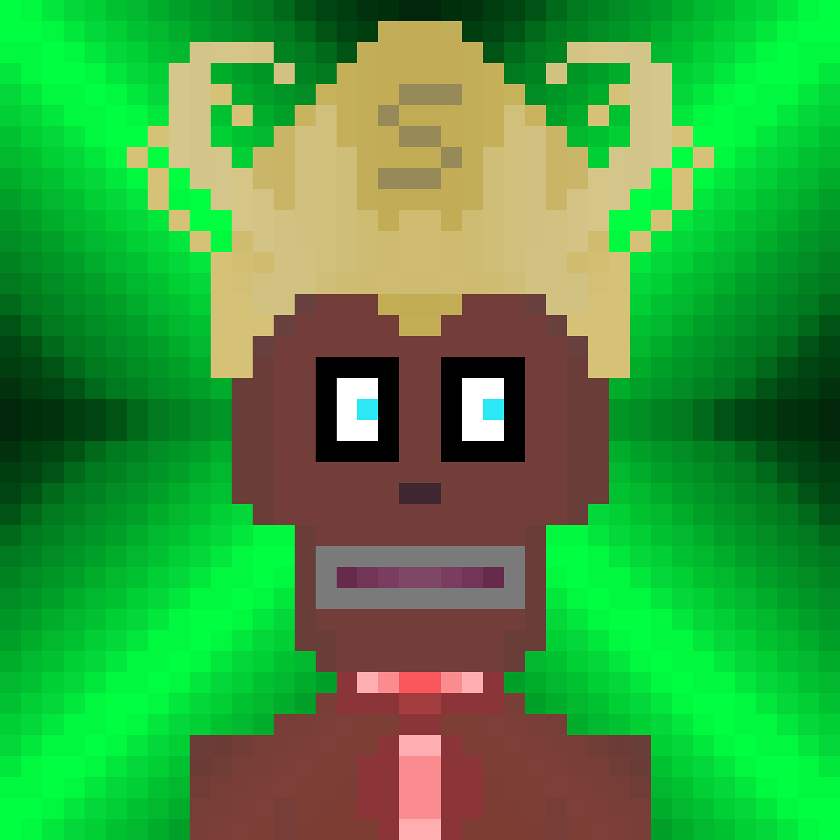 snerf