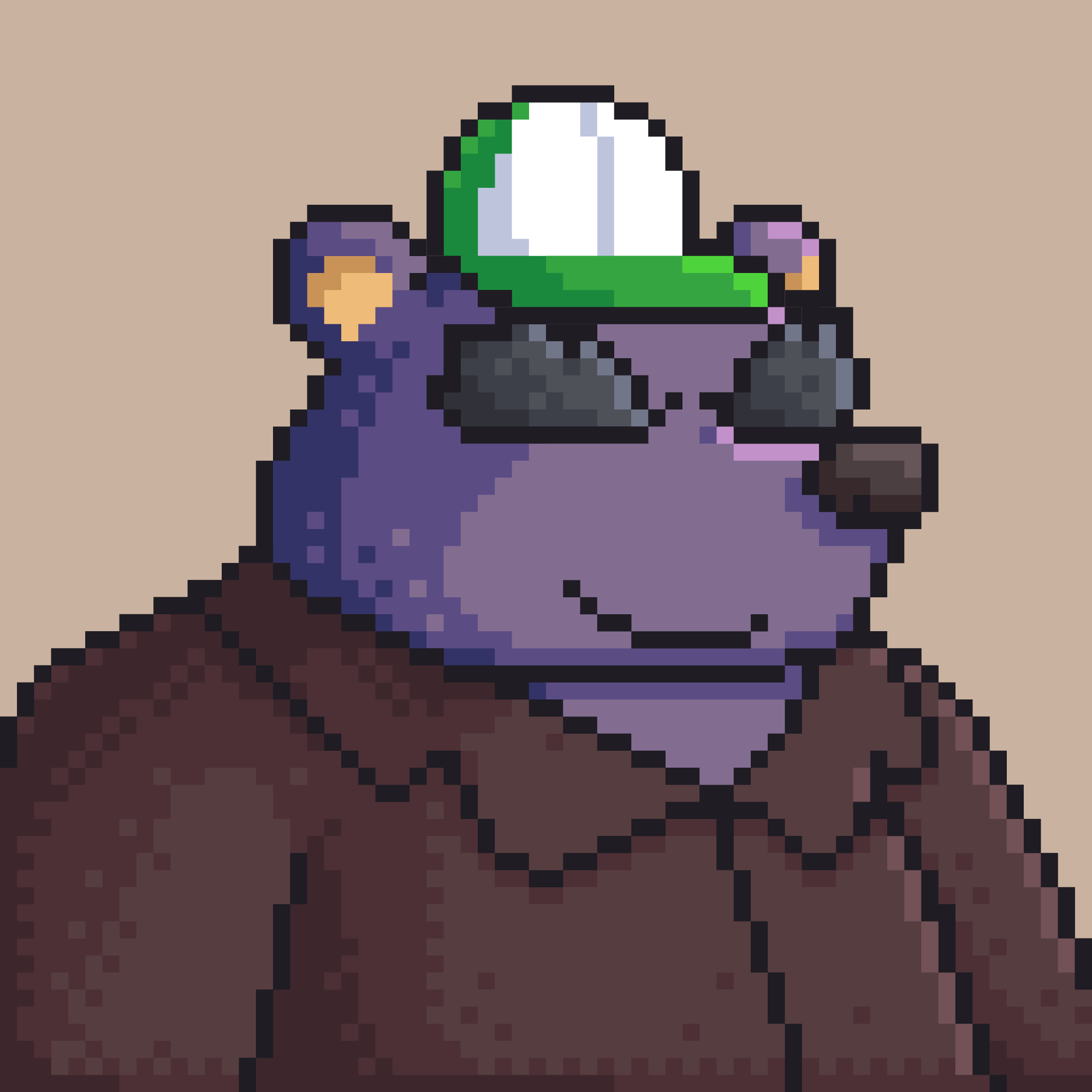 Poko Bear #1071
