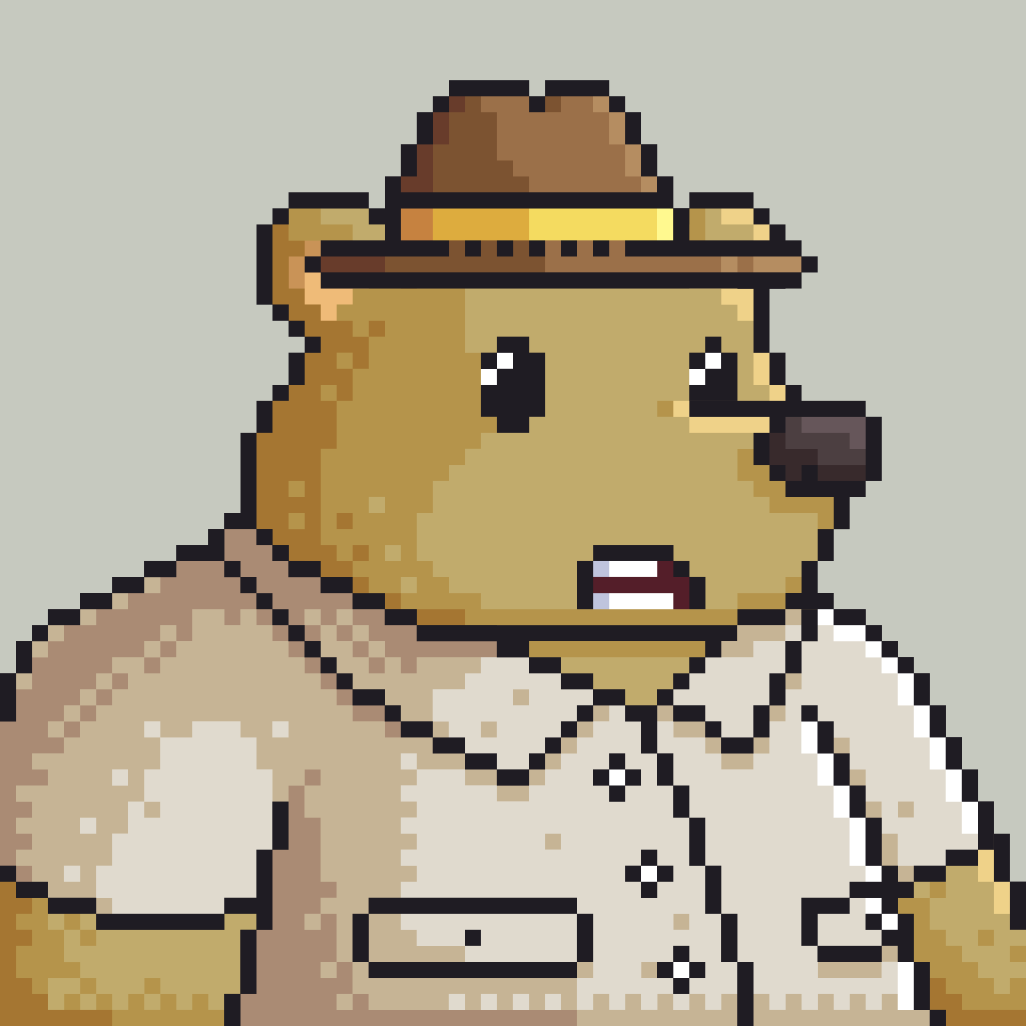 Poko Bear #1080