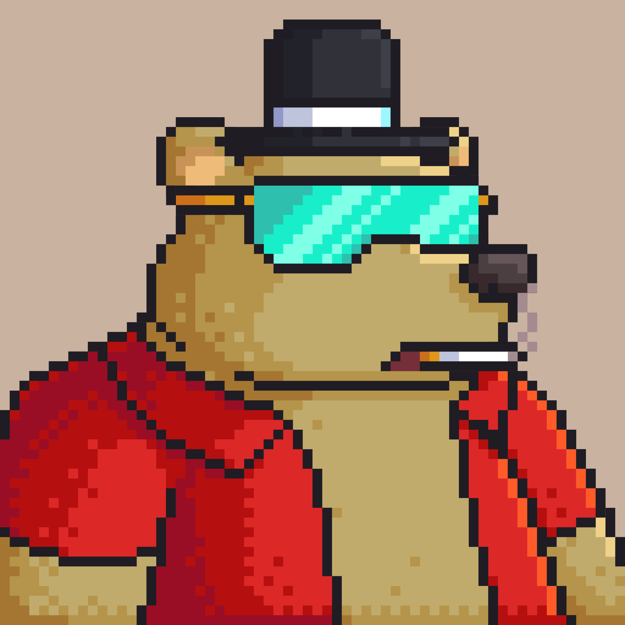 Poko Bear #1681