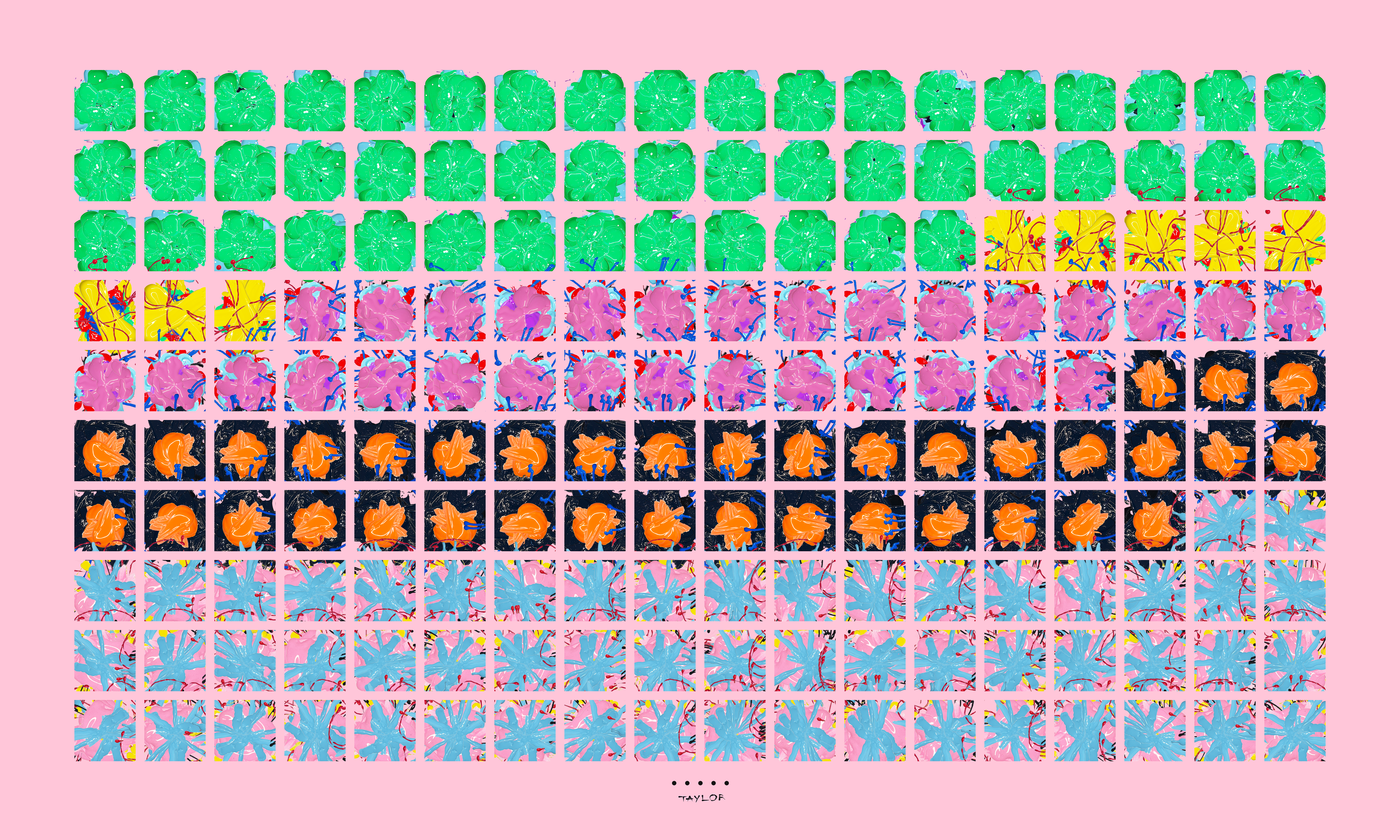Windows #20