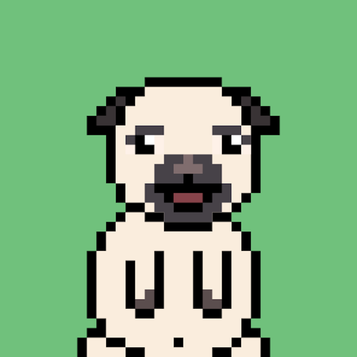 Puggers #2935