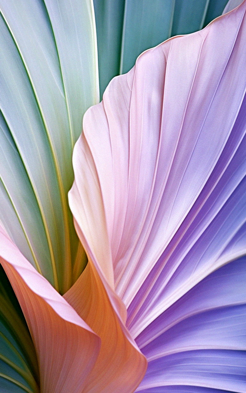 Botanical Melange