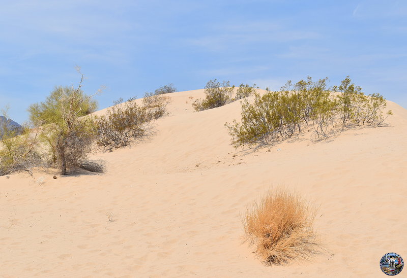 Havasu Lake Photo 98