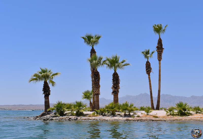 Havasu Lake Photo 77