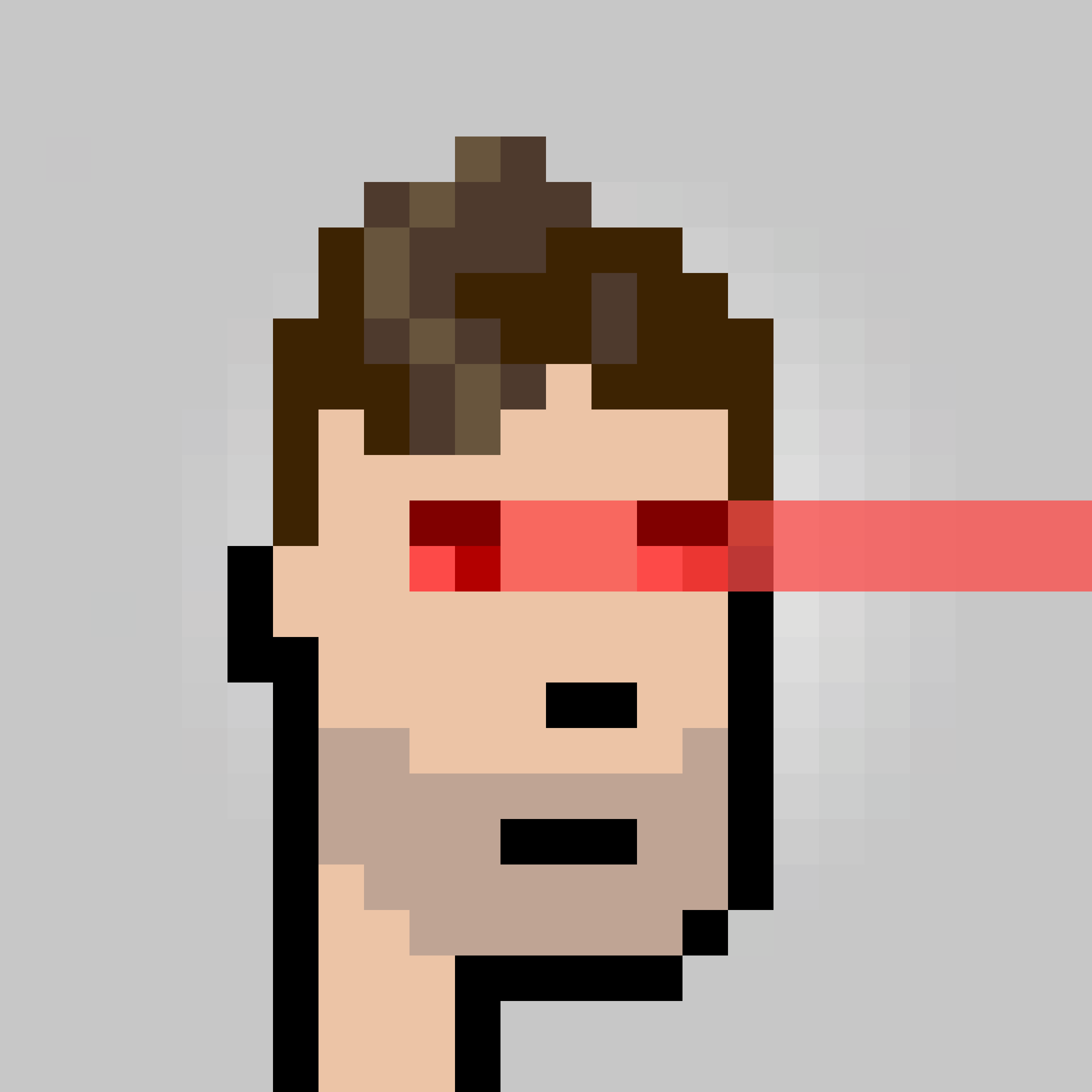 Unofficial Punks V2 #1286