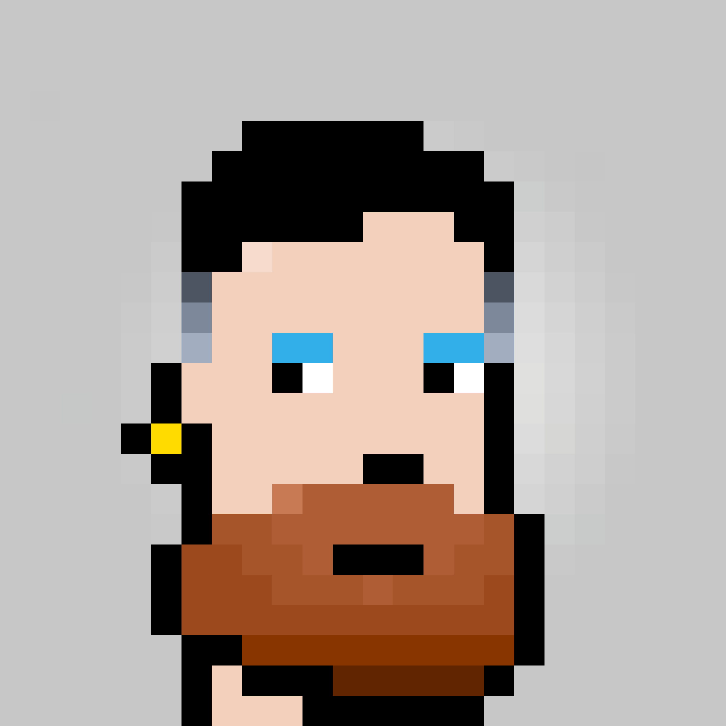 Unofficial Punks V2 #896