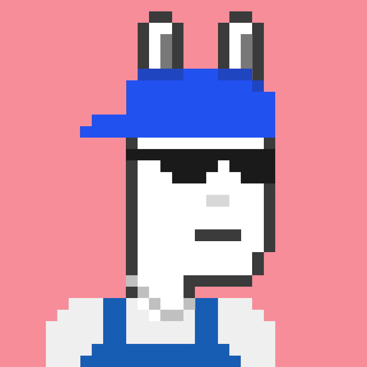 Mr Rabbit