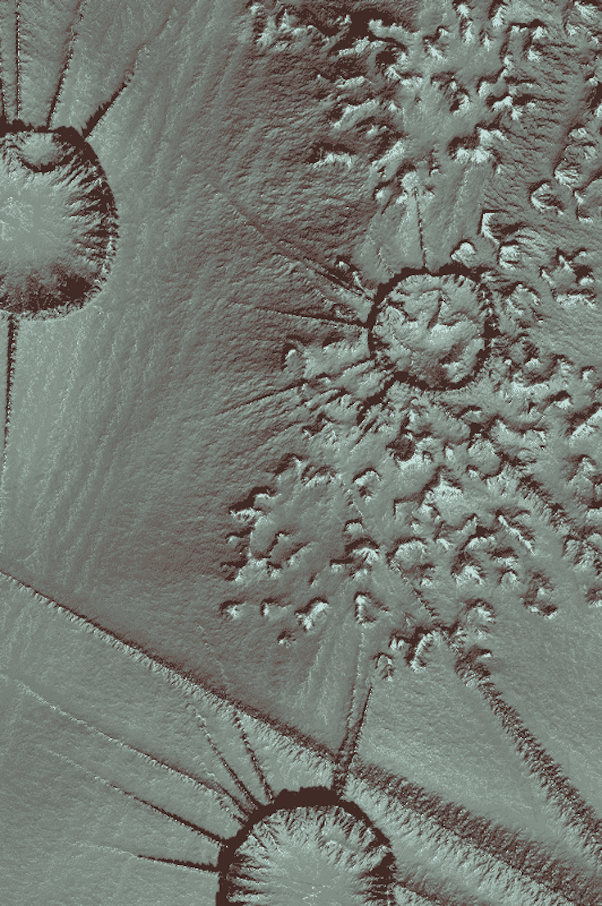 Ordinal L Surface #297