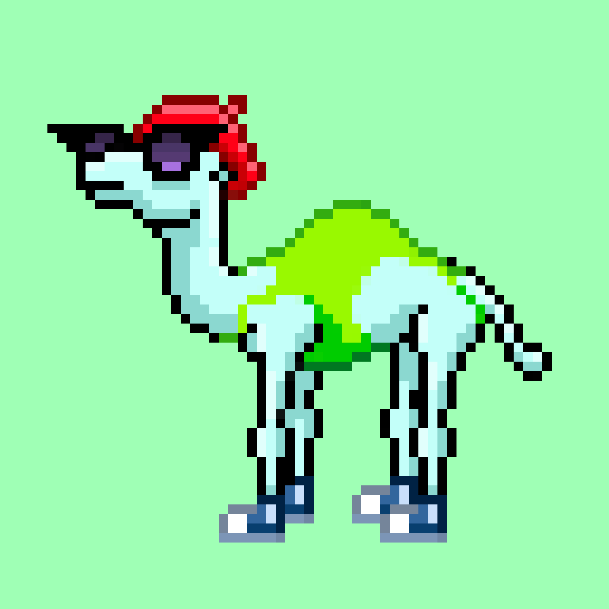CryptoCamels #111