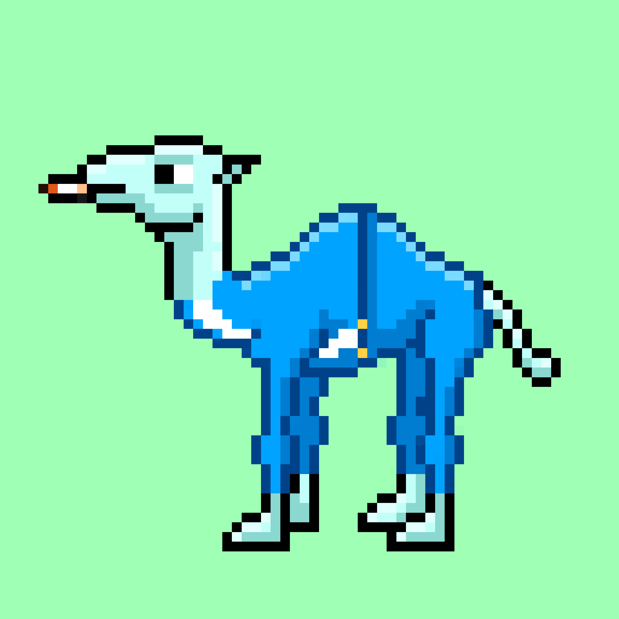CryptoCamels #112