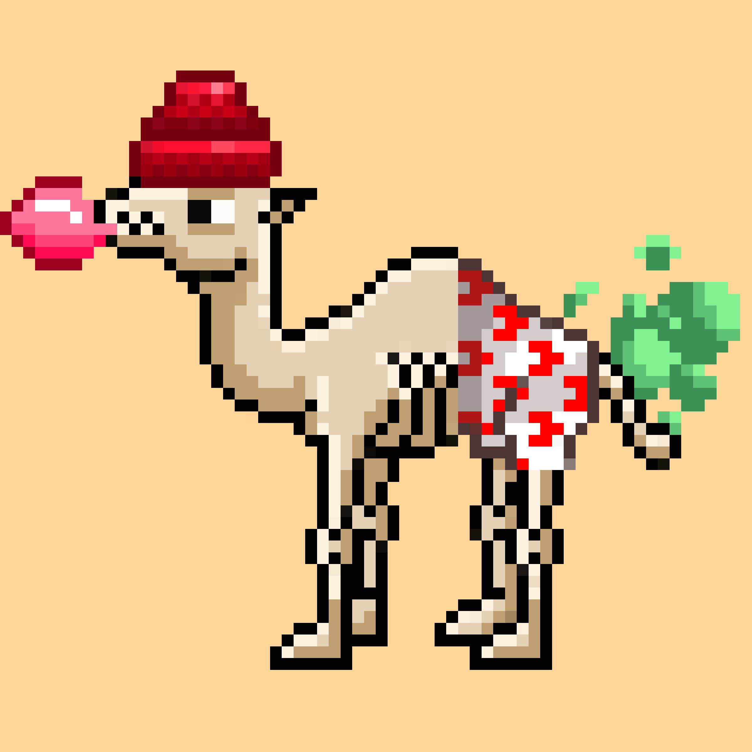 CryptoCamels #204