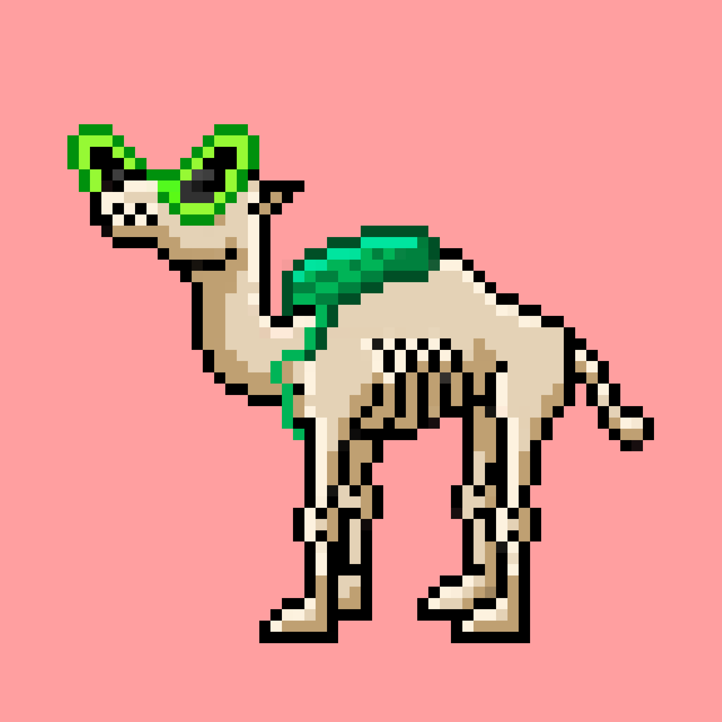 CryptoCamels #205
