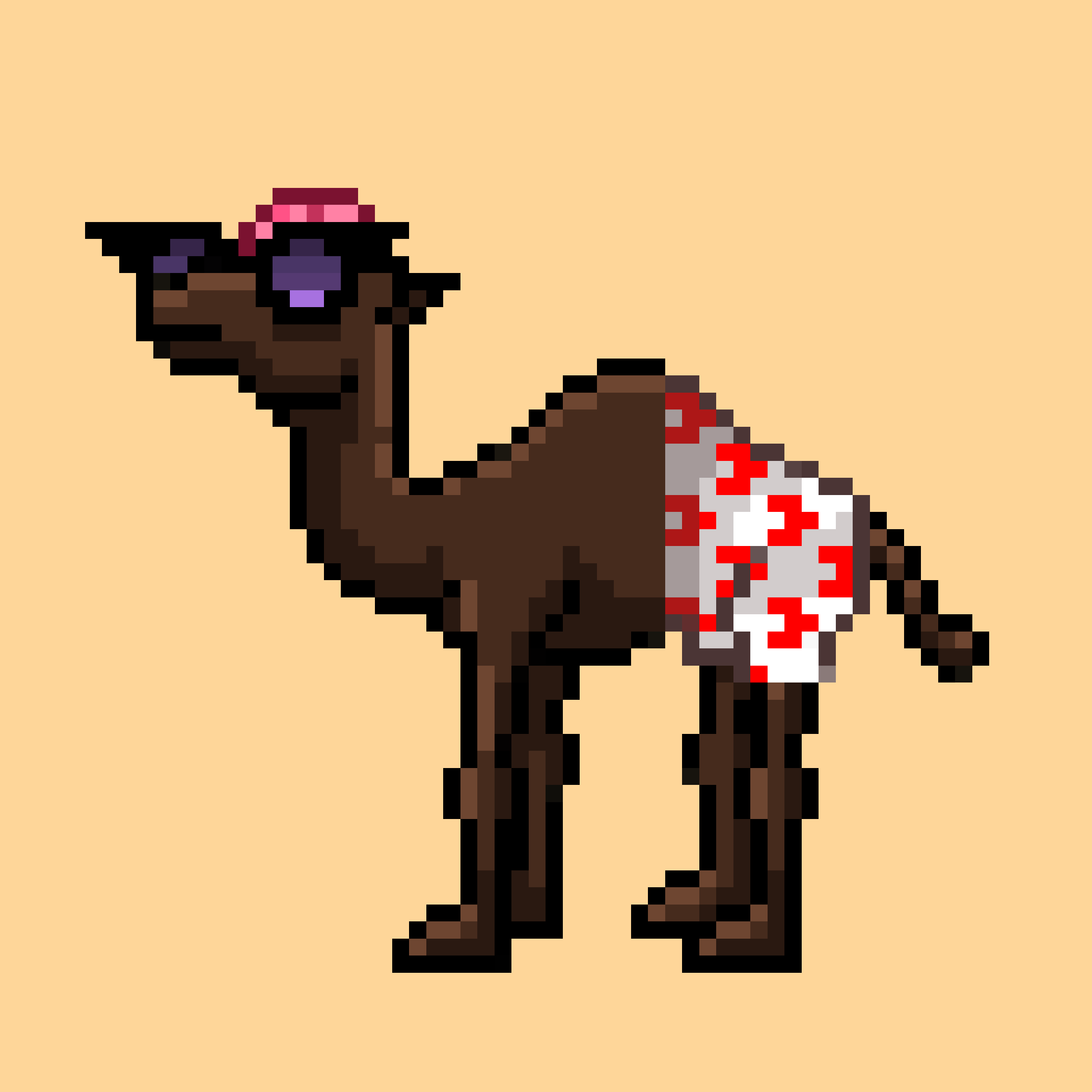 CryptoCamels #247