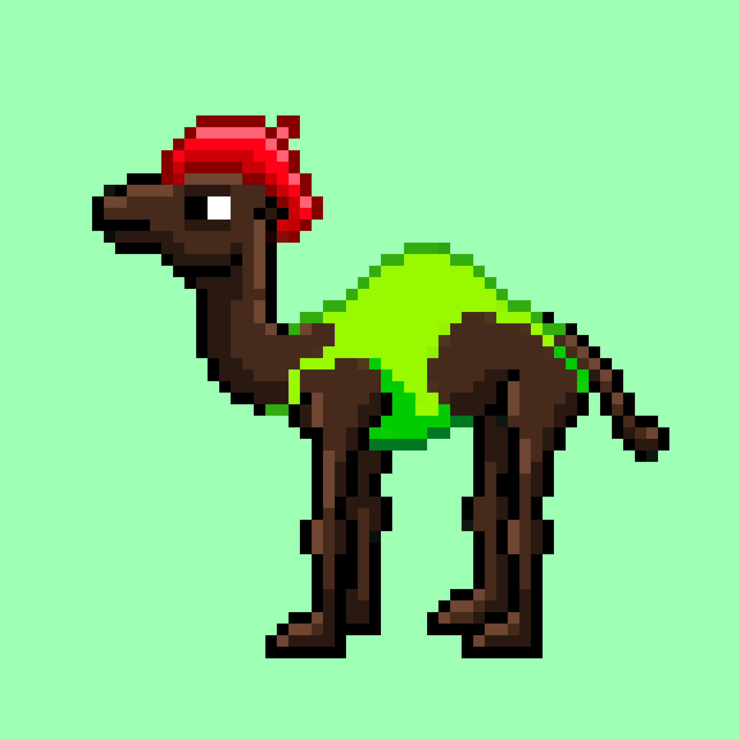 CryptoCamels #544