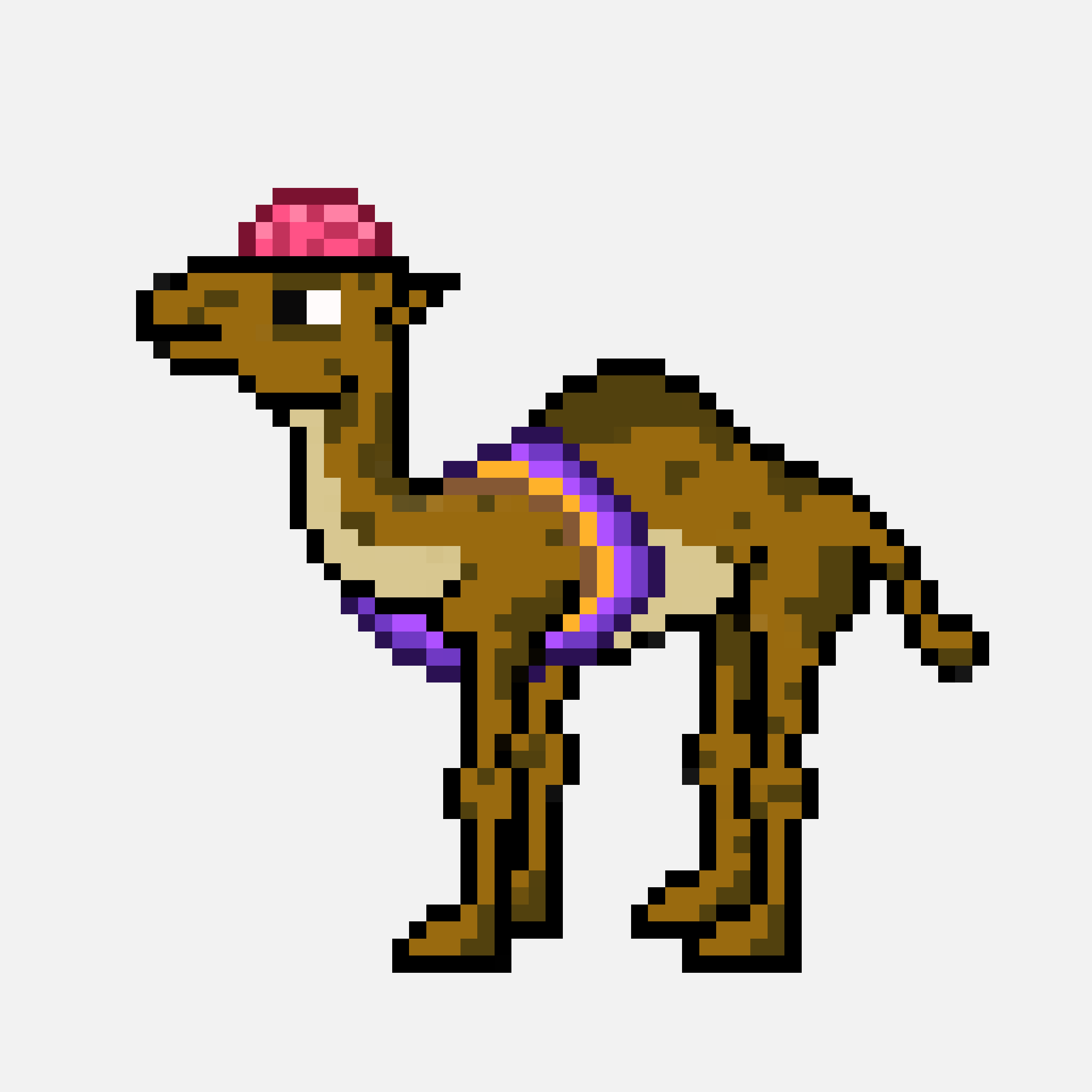 CryptoCamels #60