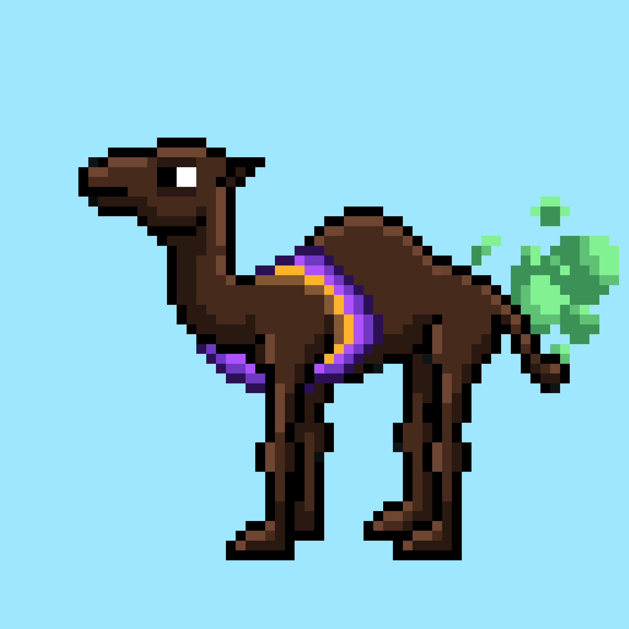 CryptoCamels #617