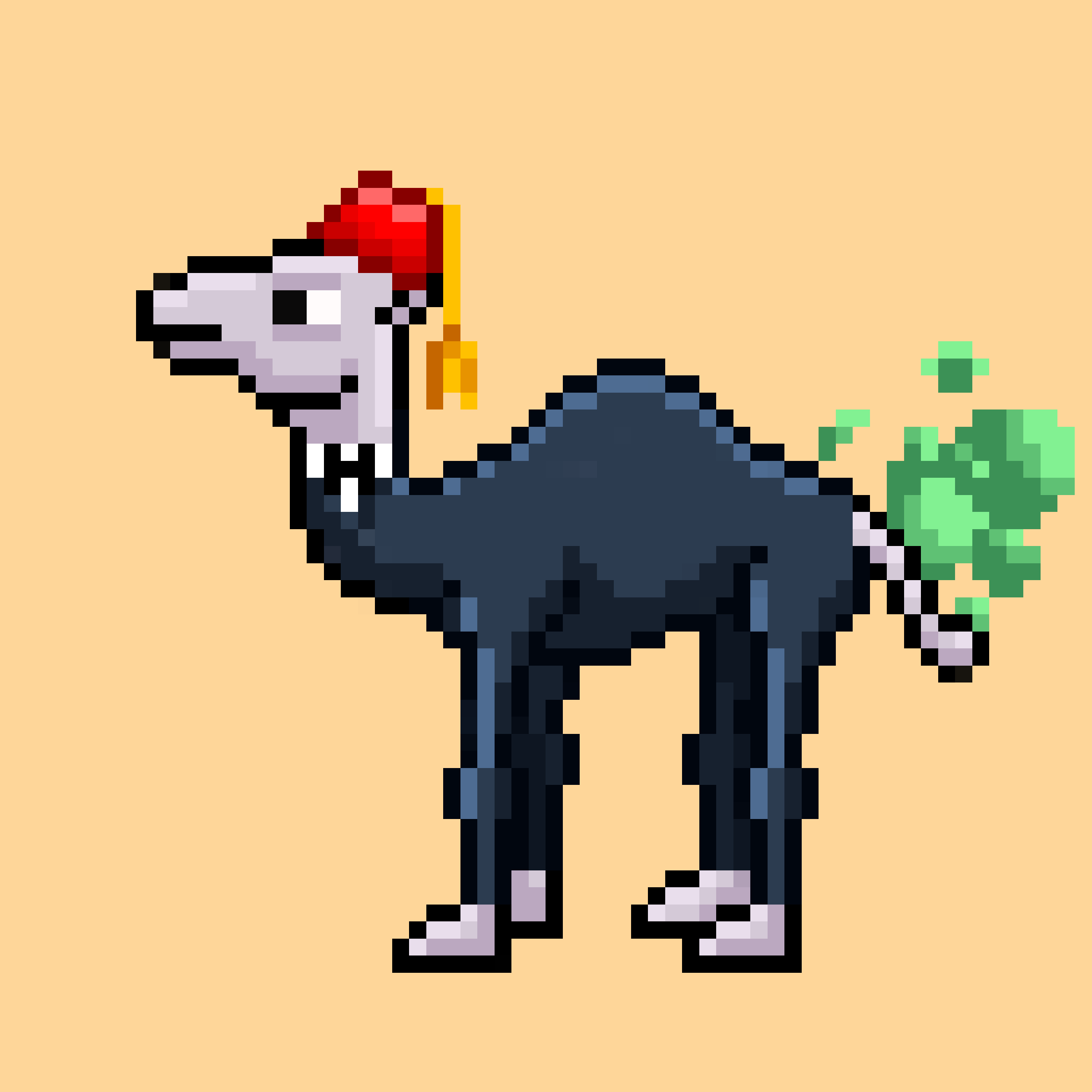 CryptoCamels #72