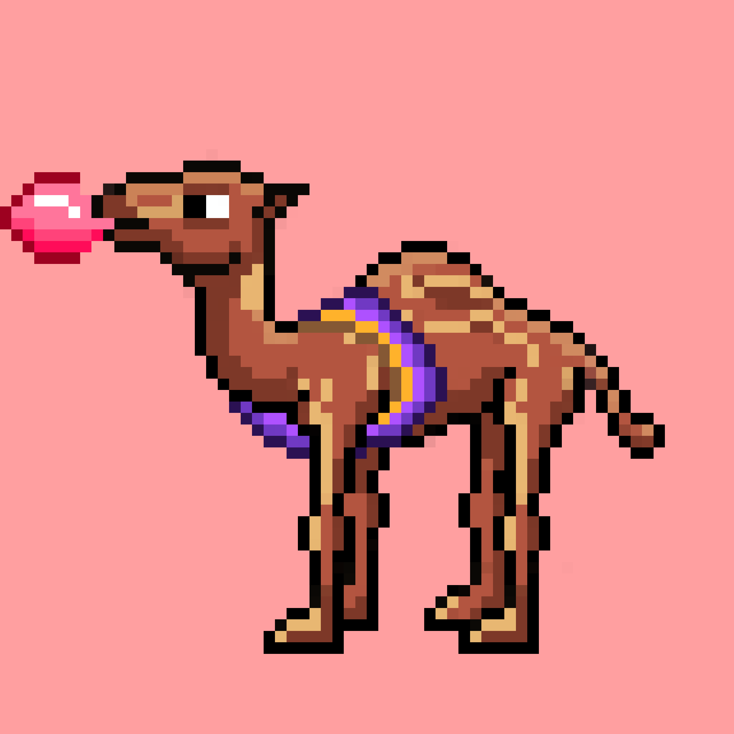 CryptoCamels #74