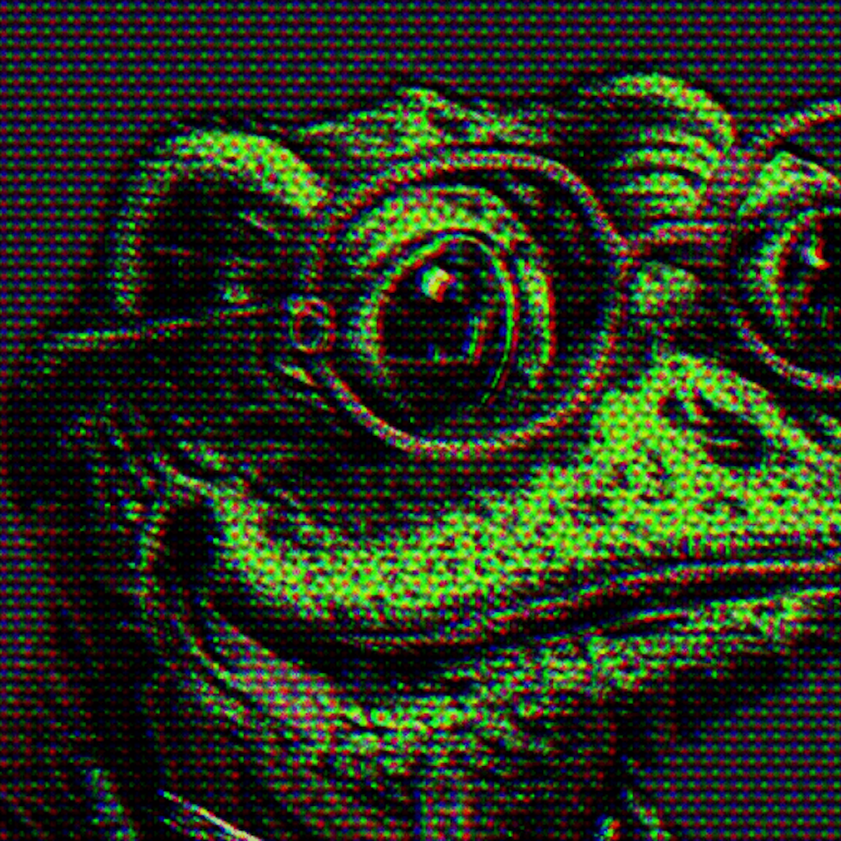 A Portrait of an American Intellectual #533