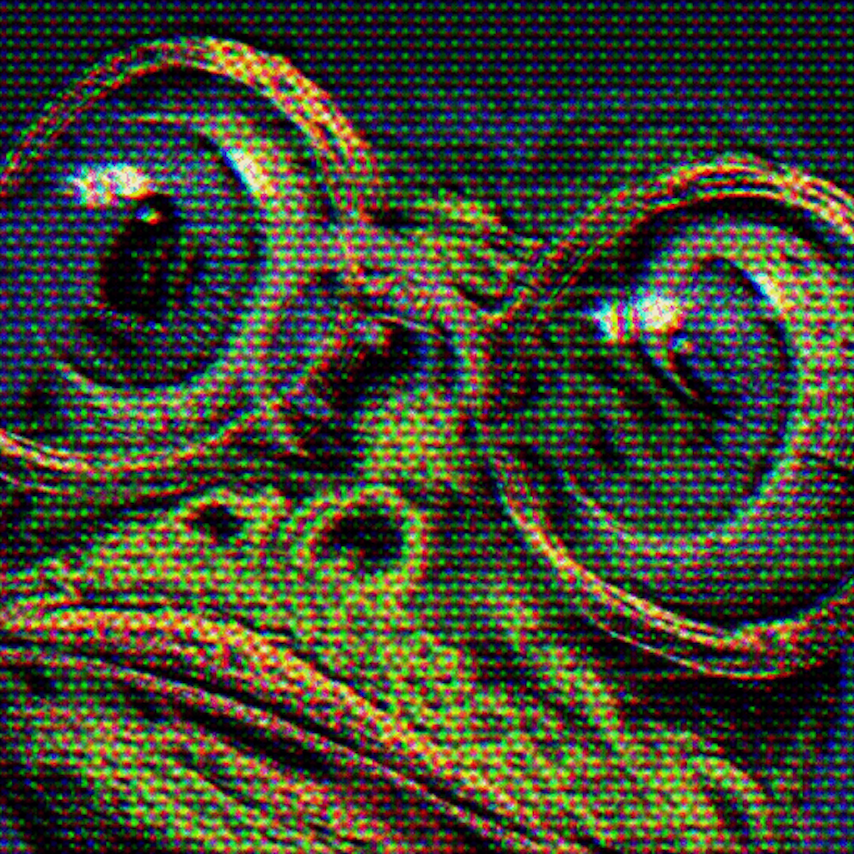 A Portrait of an American Intellectual #654